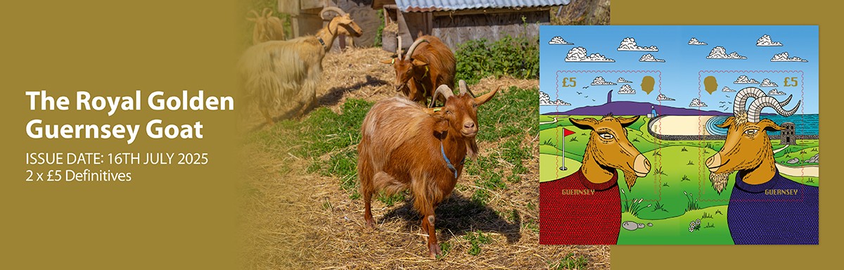 Royal Golden Guernsey Goat
